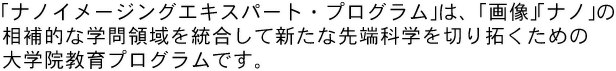 ｢ナノイメージングエキスパート・プログラム｣は、｢画像｣｢ナノ｣の相補的な学問領域を統合して新たな先端科学を切り拓くための大学院教育プログラムです。